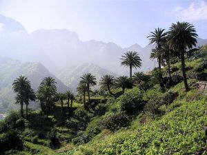 Inselumrundung in 11 oder 15 Tagen