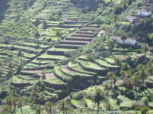 LA GOMERA REALTREKKING