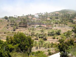 La Gomera Individualtrekking - Nordroute