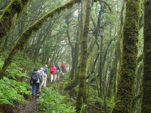 LA GOMERA REALTREKKING