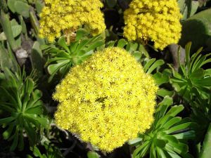 La Gomera Individualtrekking - Südroute