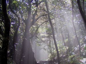 La Gomera Individualtrekking - Südroute