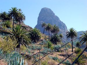 La Gomera Individualtrekking - Südroute
